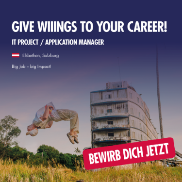 case study Beispiel Bild Red Bull GmbH