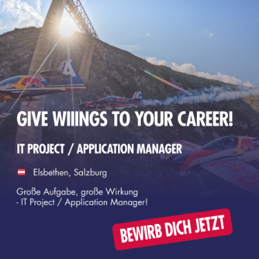 case study Beispiel Bild Red Bull GmbH