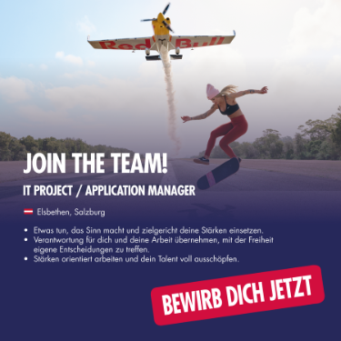 case study Beispiel Bild Red Bull GmbH
